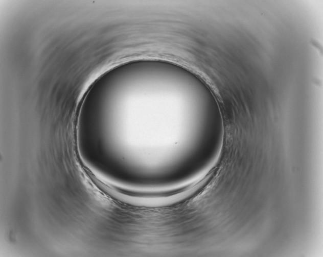 X0000097301530200802221323