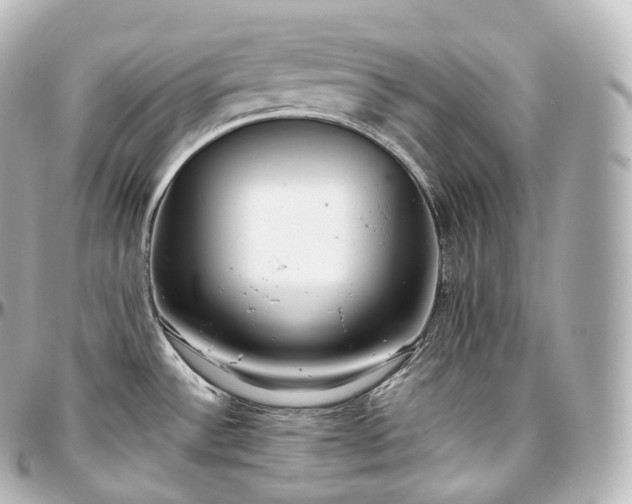 X0000097301532200802221323