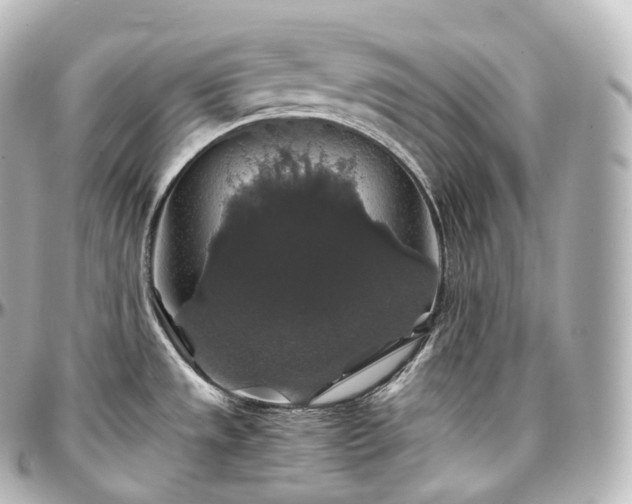 X0000097301533200802221323