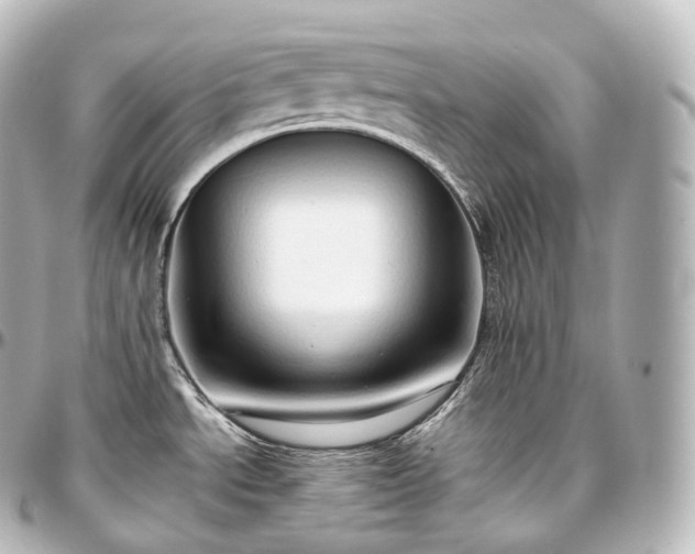 X0000097301534200802221323