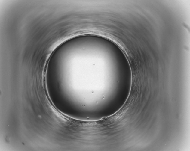 X0000097301535200802221323