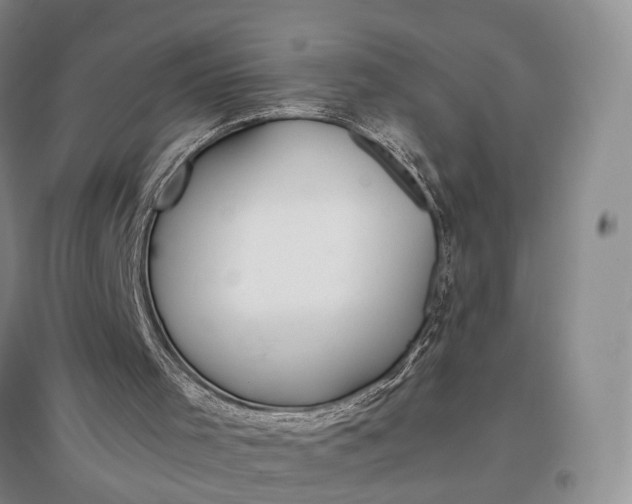 X0000097300001200802291823