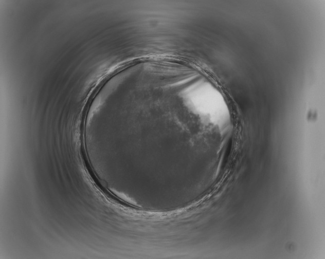 X0000097300002200802291823