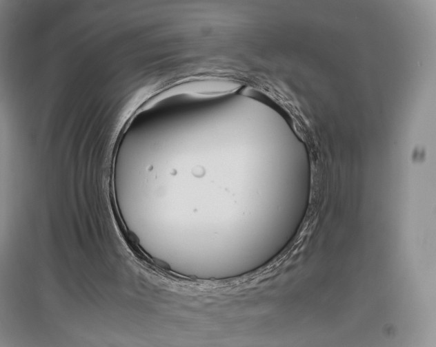 X0000097300003200802291823