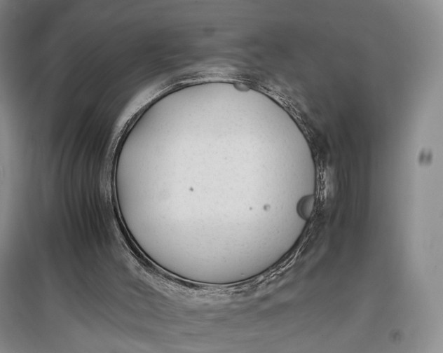 X0000097300004200802291823