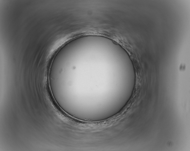 X0000097300005200802291823