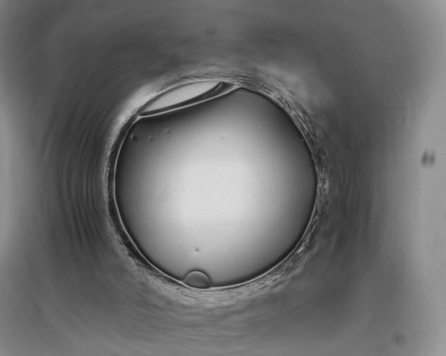 X0000097300006200802291823