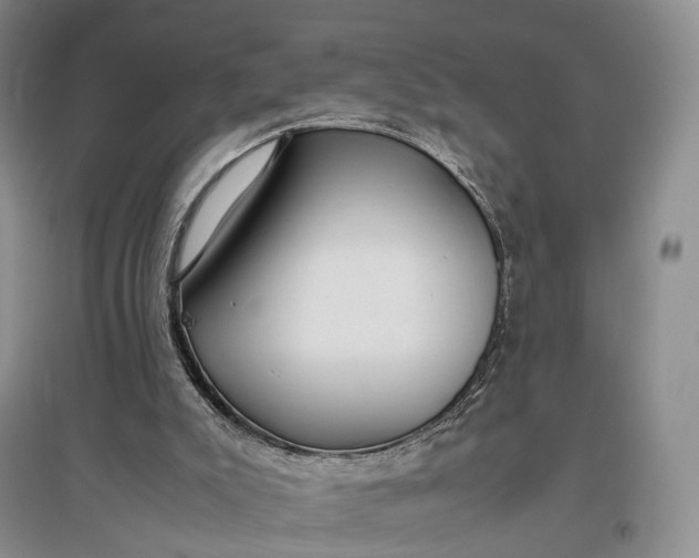 X0000097300007200802291823