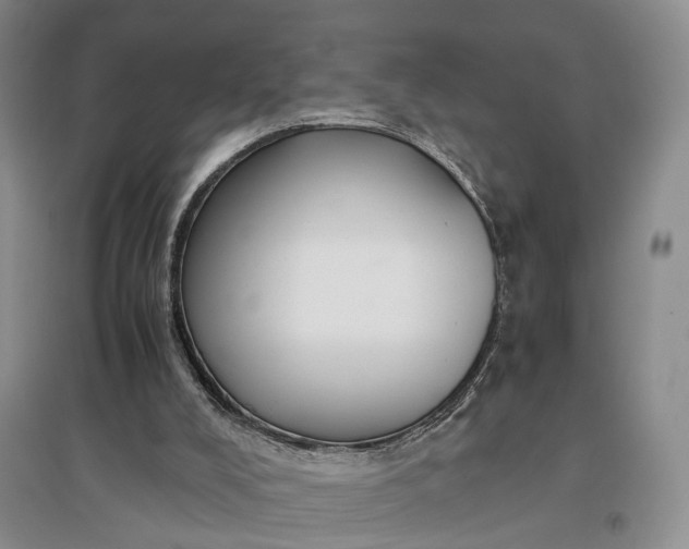 X0000097300008200802291823