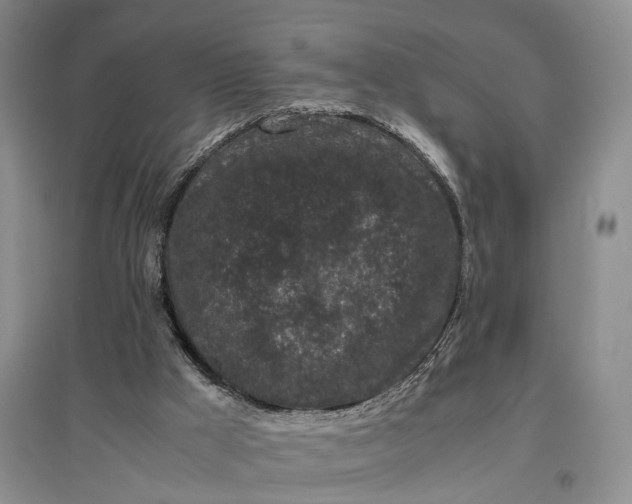 X0000097300009200802291823