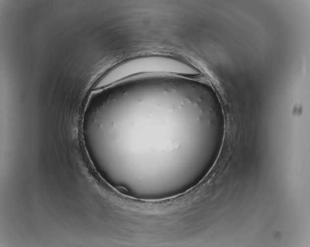 X0000097300010200802291823