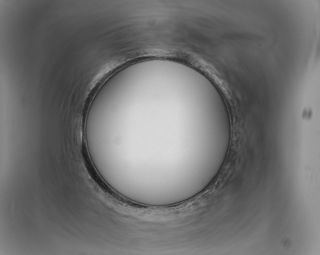 X0000097300011200802291823