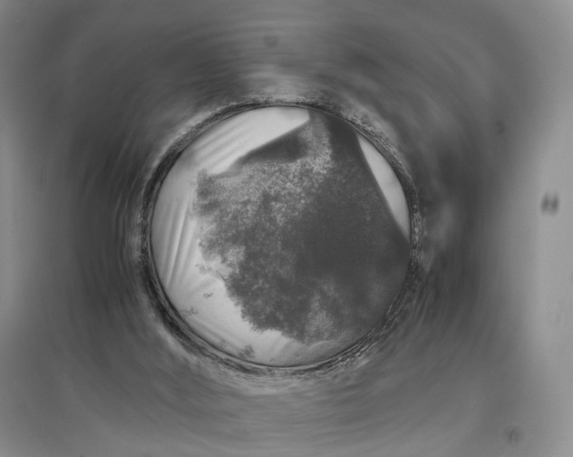 X0000097300012200802291823