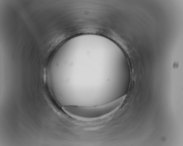 X0000097300013200802291823