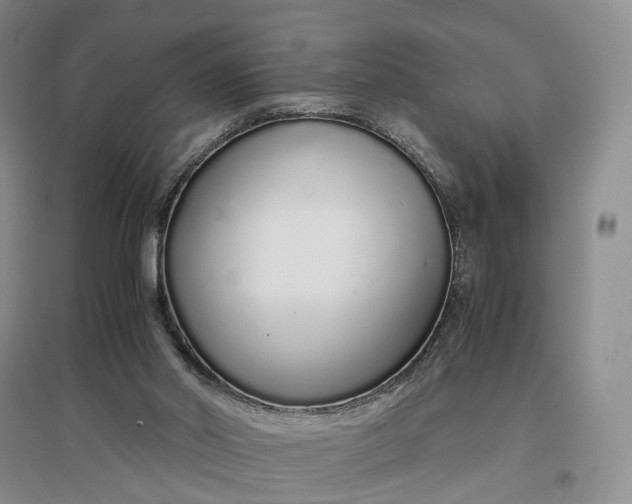 X0000097300014200802291823