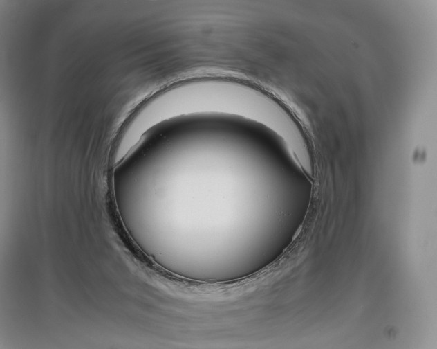 X0000097300015200802291823