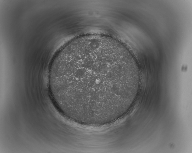 X0000097300016200802291823