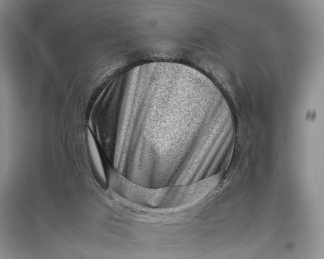 X0000097300017200802291823