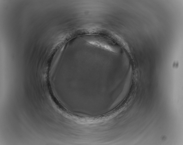 X0000097300018200802291823