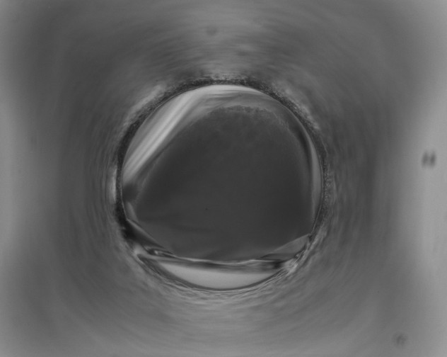 X0000097300019200802291823