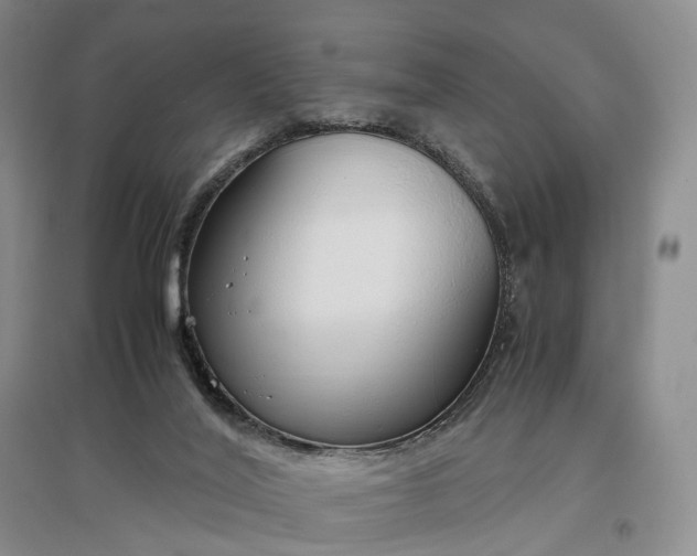 X0000097300020200802291823