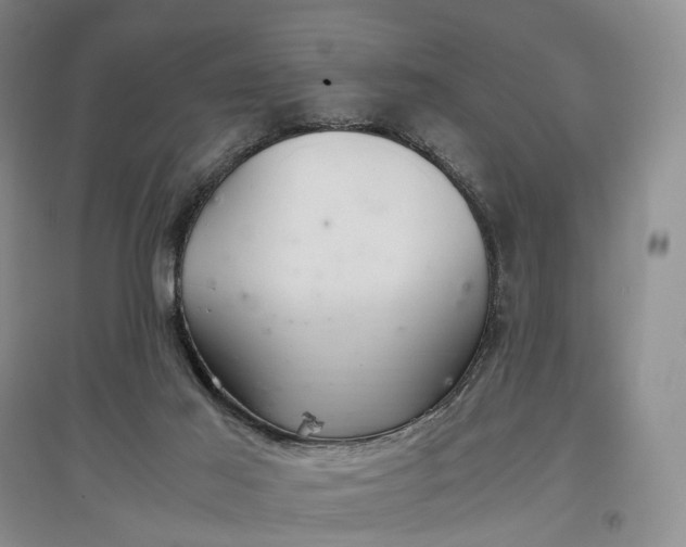 X0000097300021200802291823