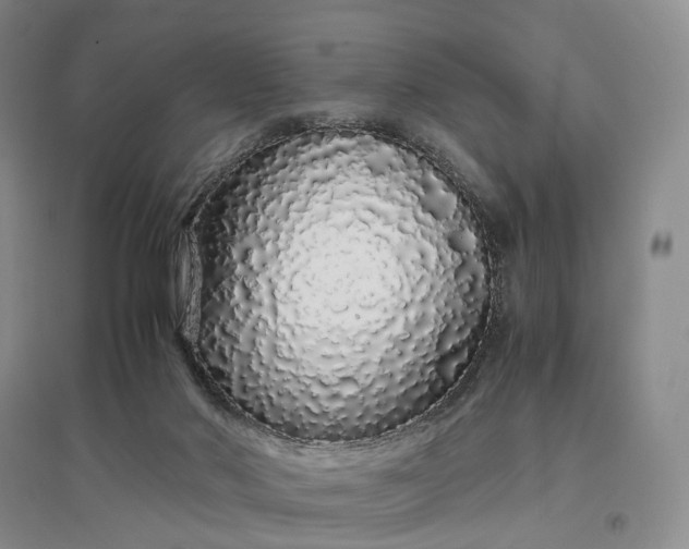 X0000097300022200802291823