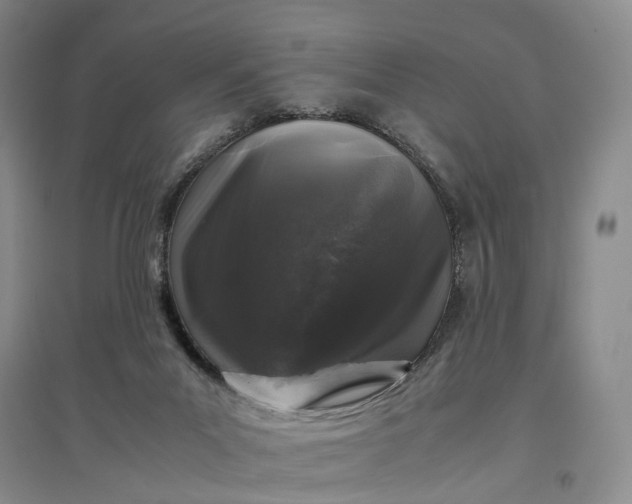 X0000097300023200802291823