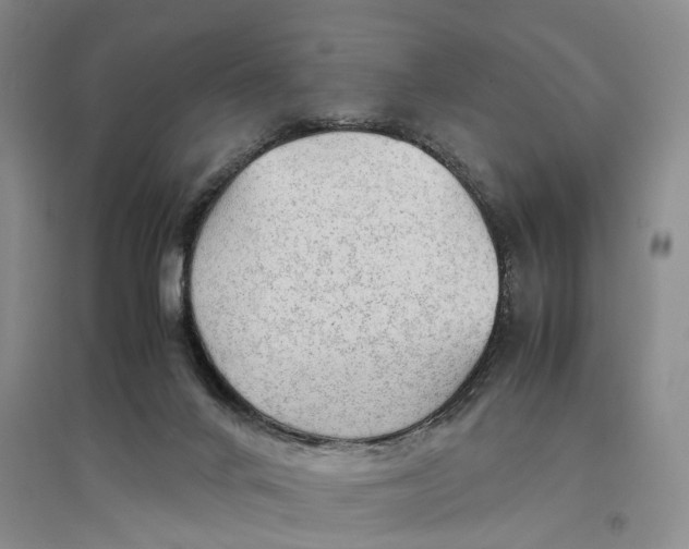 X0000097300024200802291823