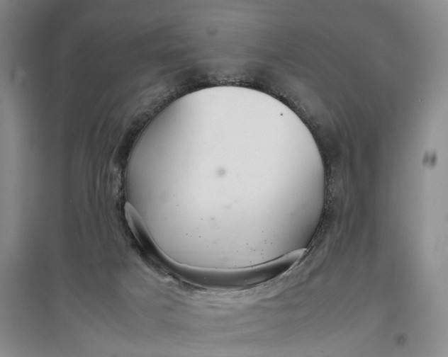 X0000097300025200802291823