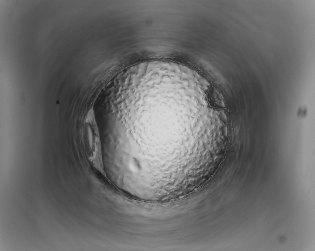 X0000097300026200802291823