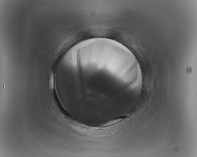 X0000097300027200802291823