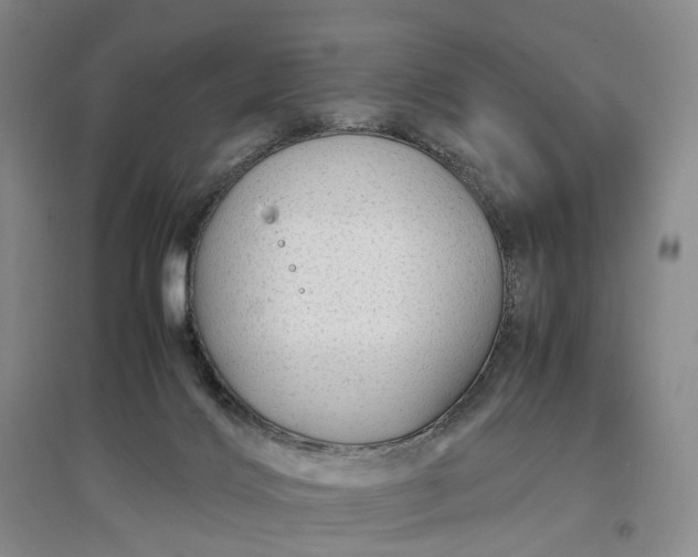 X0000097300028200802291823