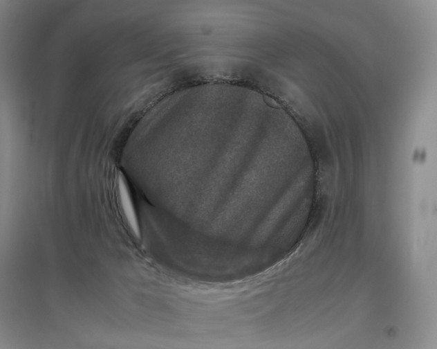 X0000097300029200802291823