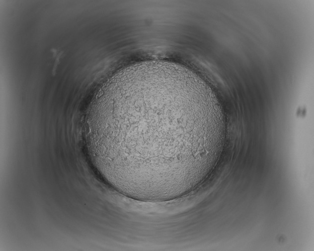 X0000097300030200802291823