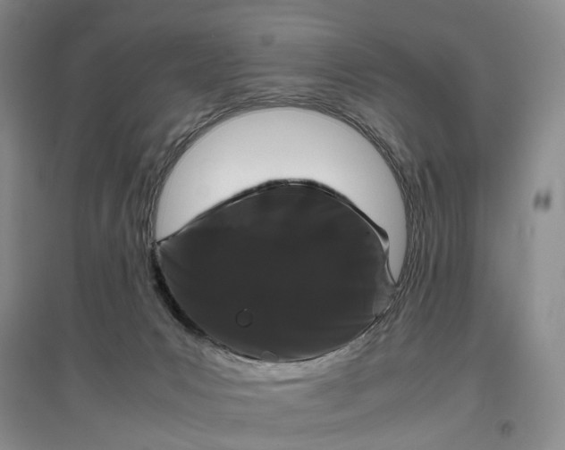 X0000097300031200802291823