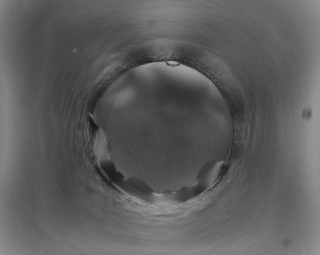 X0000097300035200802291823