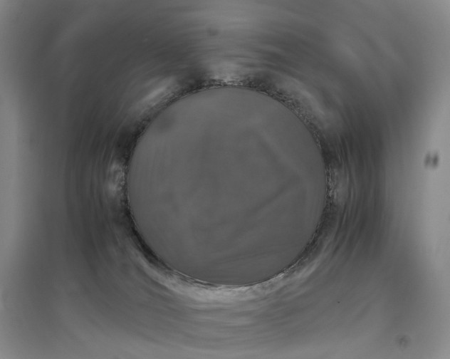 X0000097300036200802291823