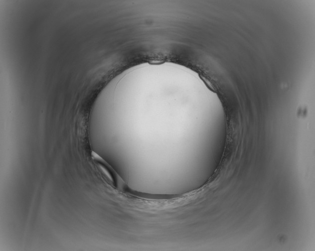 X0000097300037200802291823