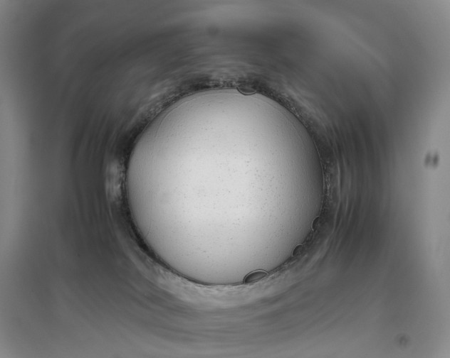 X0000097300038200802291823