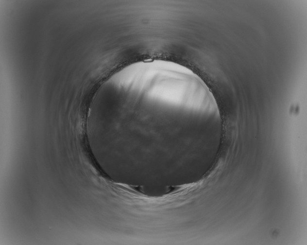 X0000097300039200802291823