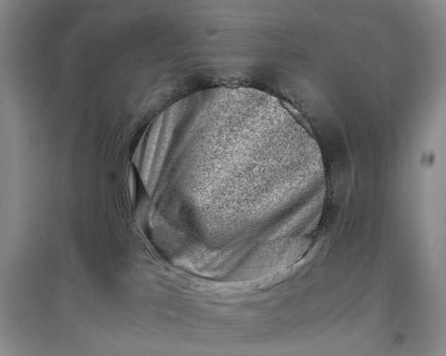 X0000097300041200802291823