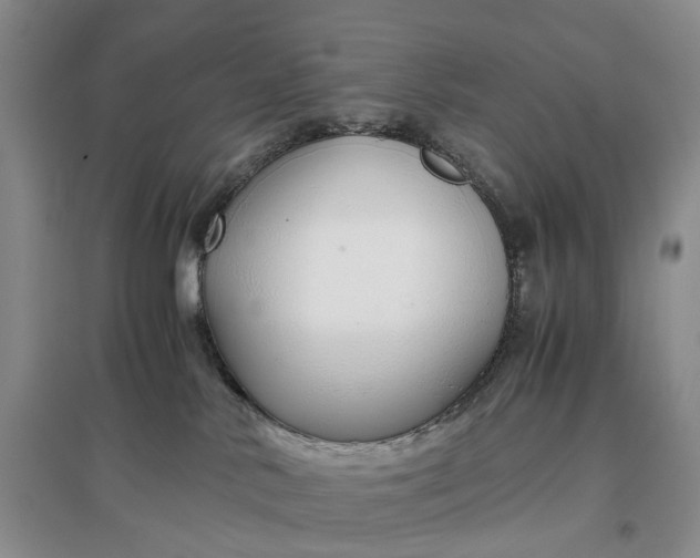 X0000097300042200802291823