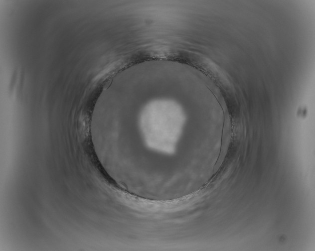 X0000097300043200802291823