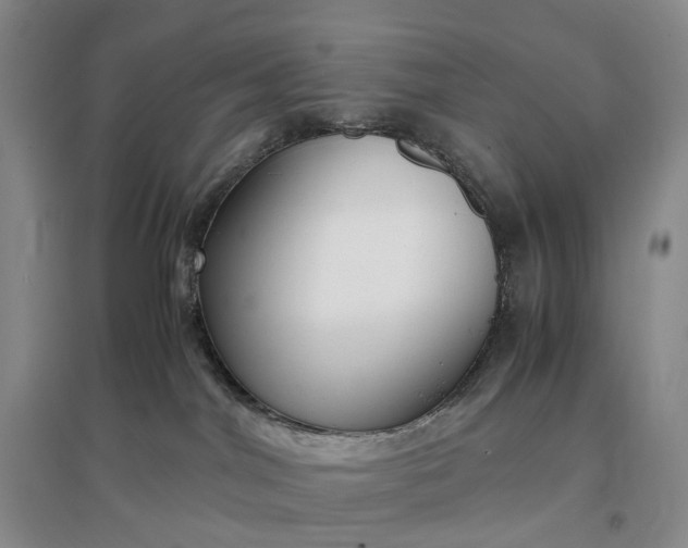 X0000097300044200802291823