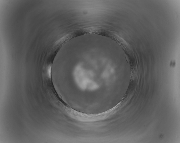 X0000097300047200802291823