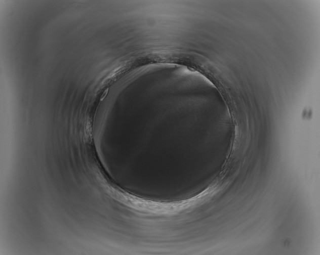 X0000097300048200802291823