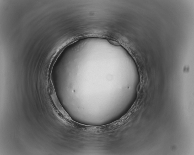 X0000097300050200802291822