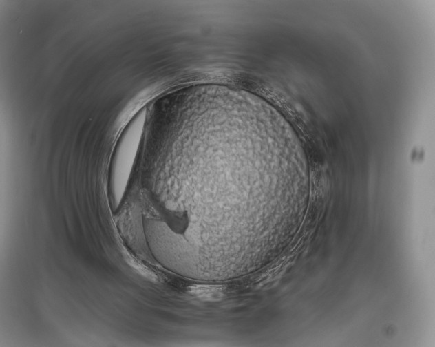 X0000097300051200802291822