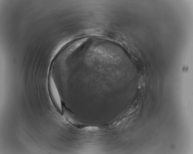 X0000097300052200802291822